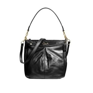 Coach Ashley Leather Hippie Crossbody Bag Black Python Embossed Trim F20114